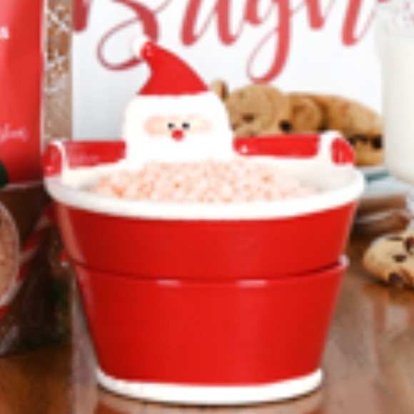 Pink Zebra Santa Simmer Pot